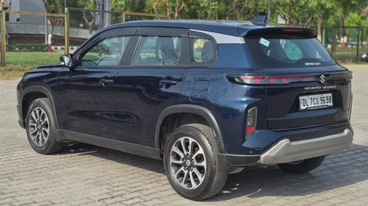 Maruti Suzuki Grand Vitara Delta CNG
